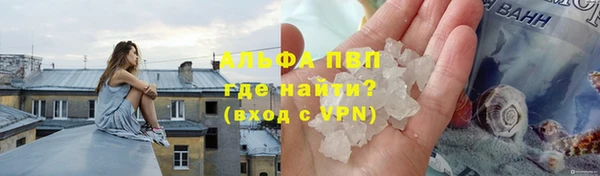 шишки Верея