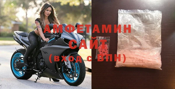 шишки Верея