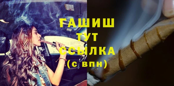 шишки Верея