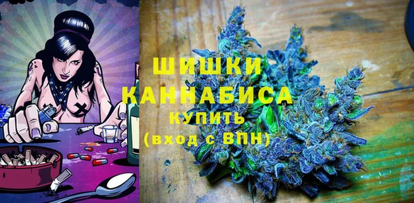 шишки Верея