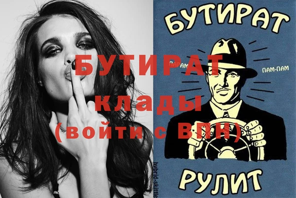 шишки Верея